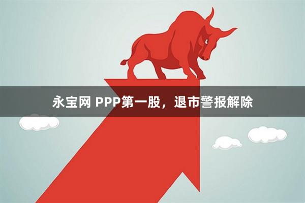 永宝网 PPP第一股，退市警报解除