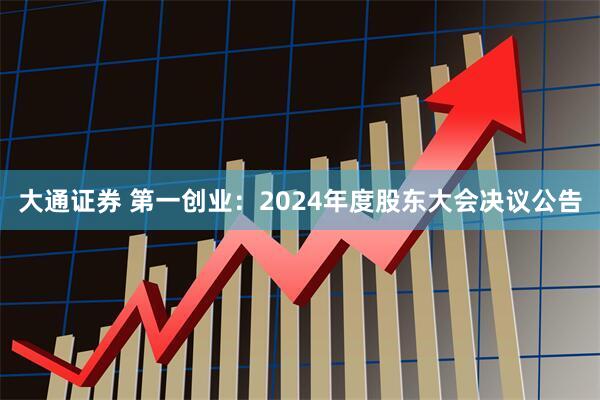 大通证券 第一创业：2024年度股东大会决议公告
