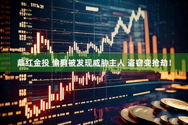 鼎红金投 偷狗被发现威胁主人 盗窃变抢劫！