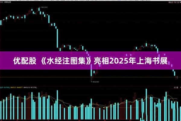 优配股 《水经注图集》亮相2025年上海书展
