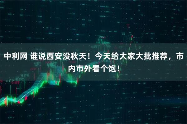 中利网 谁说西安没秋天！今天给大家大批推荐，市内市外看个饱！